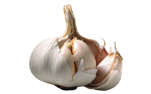 food garlic HD Desktop Wallpaper | Background Image