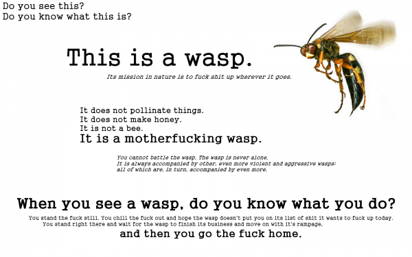 Humor Animal Sadic Bee HD Wallpaper | Background Image