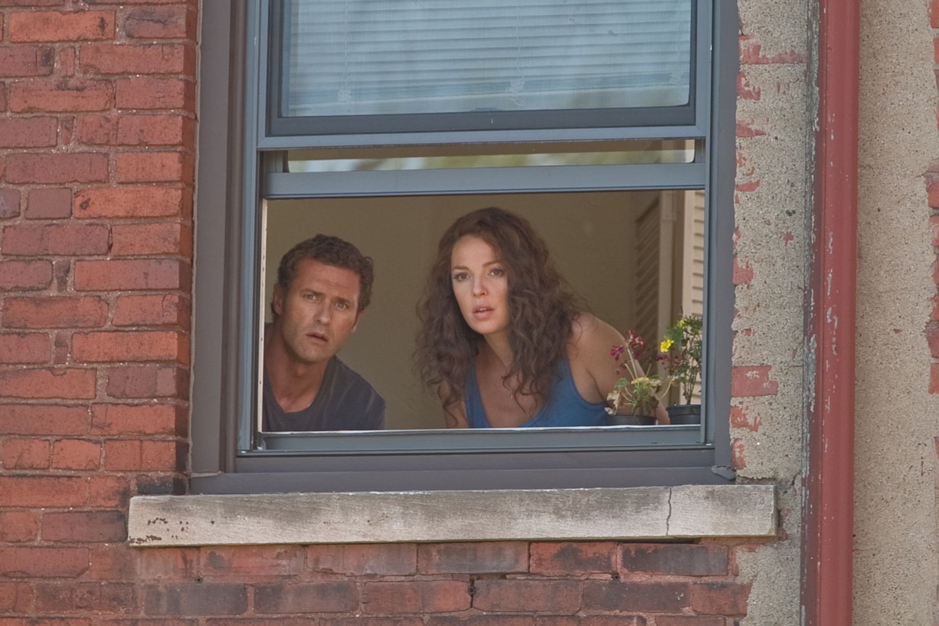 Download Movie One For The Money HD Wallpaper