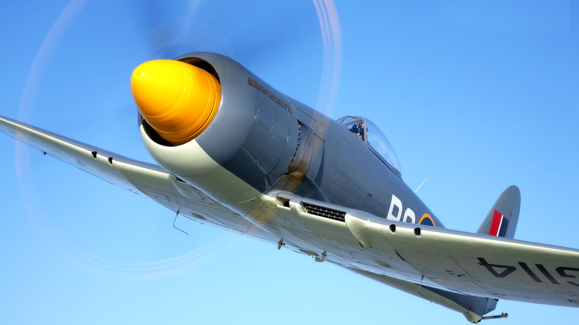 HD PC desktop wallpaper: military Hawker Sea Fury fighter in flight, yellow nose cone and spinning propeller set against a clear blue sky.