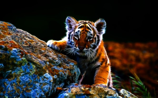 Animal Tiger Cats Fractal CGI HD Wallpaper | Background Image