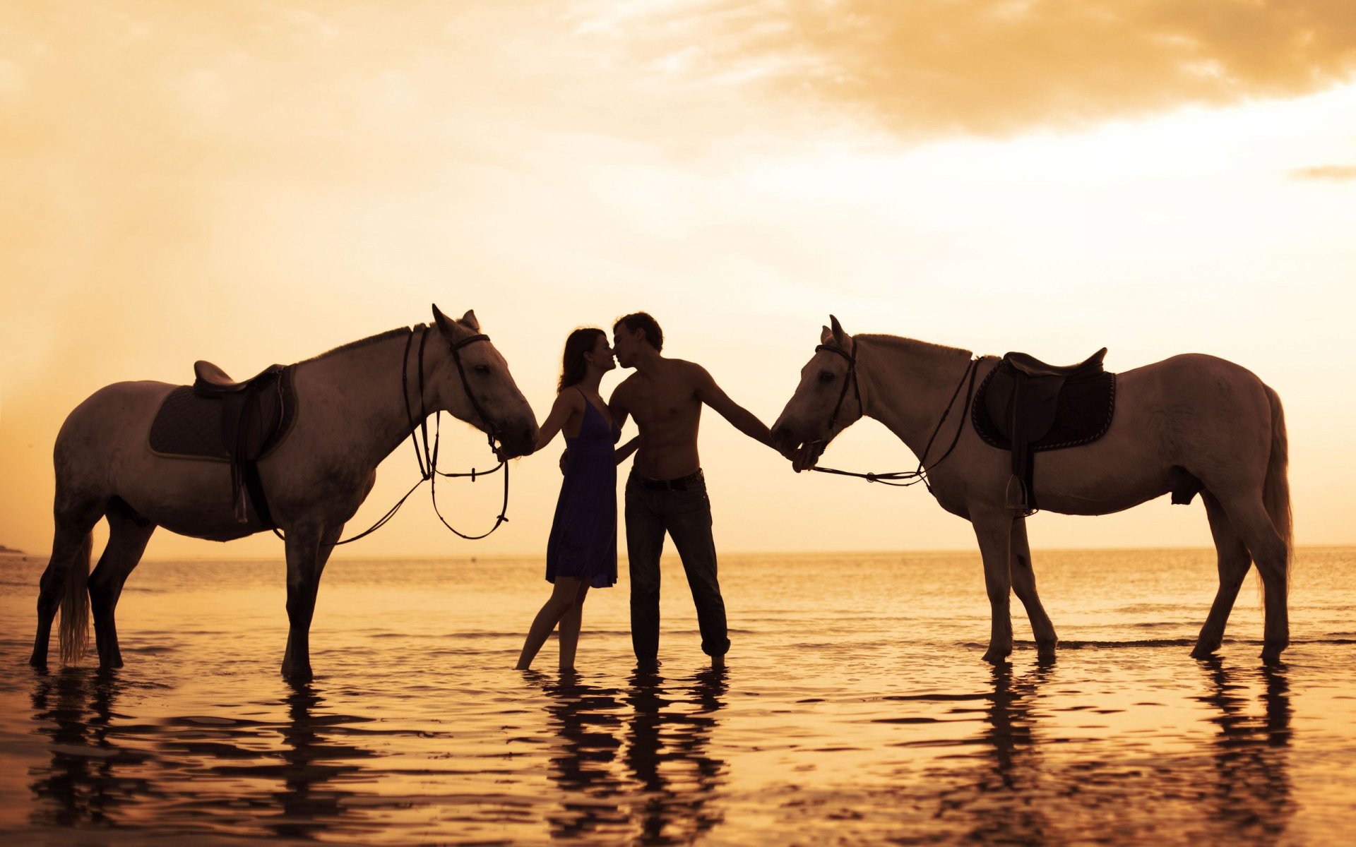 A couple holds hands by the water at sunset, flanked by two horses. The warm hues enhance the romantic atmosphere, creating a captivating scene for a desktop wallpaper.