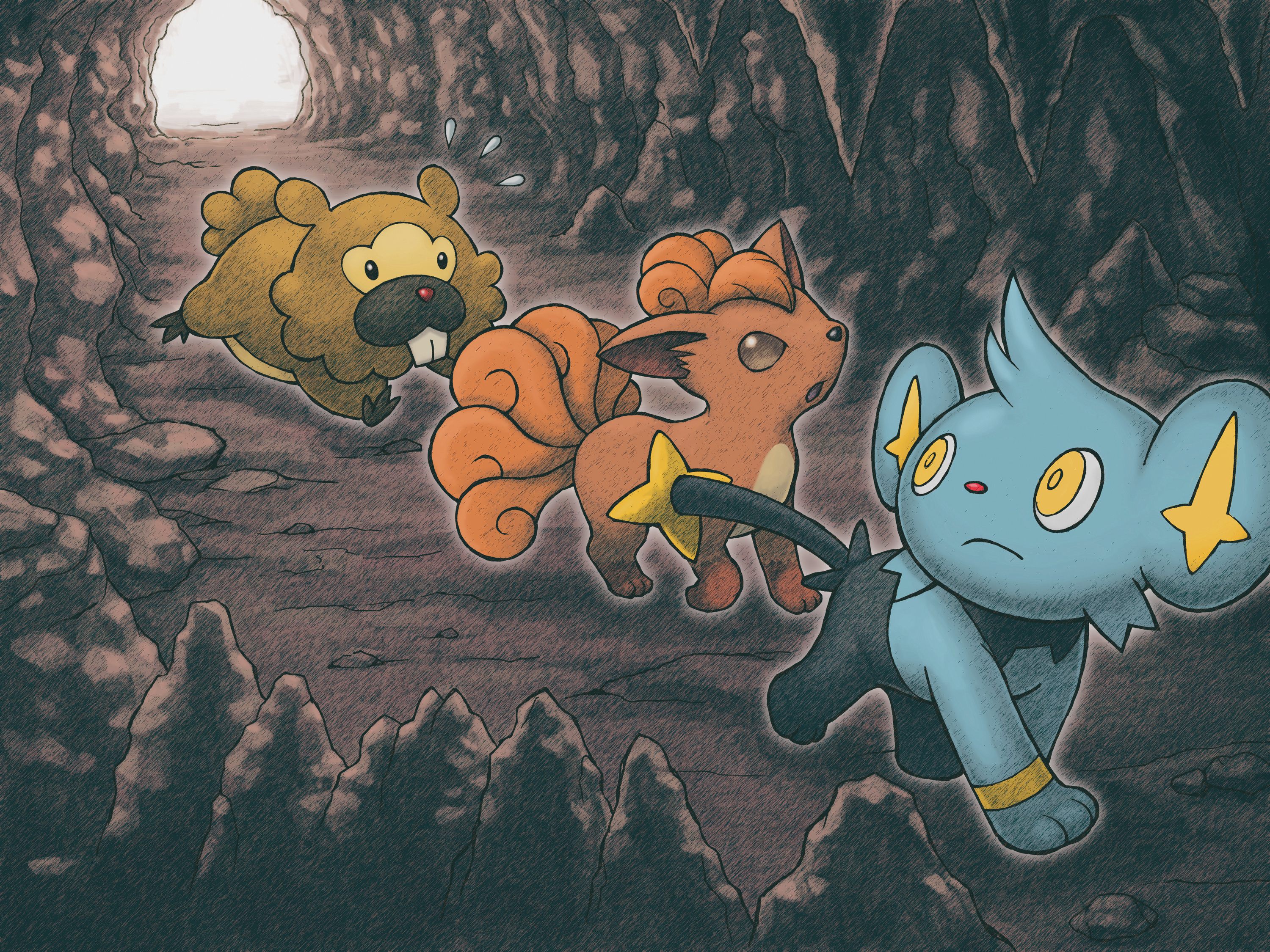 Pokémon Mystery Dungeon: Explorers of Time HD Wallpaper ...
 Shinx Wallpaper