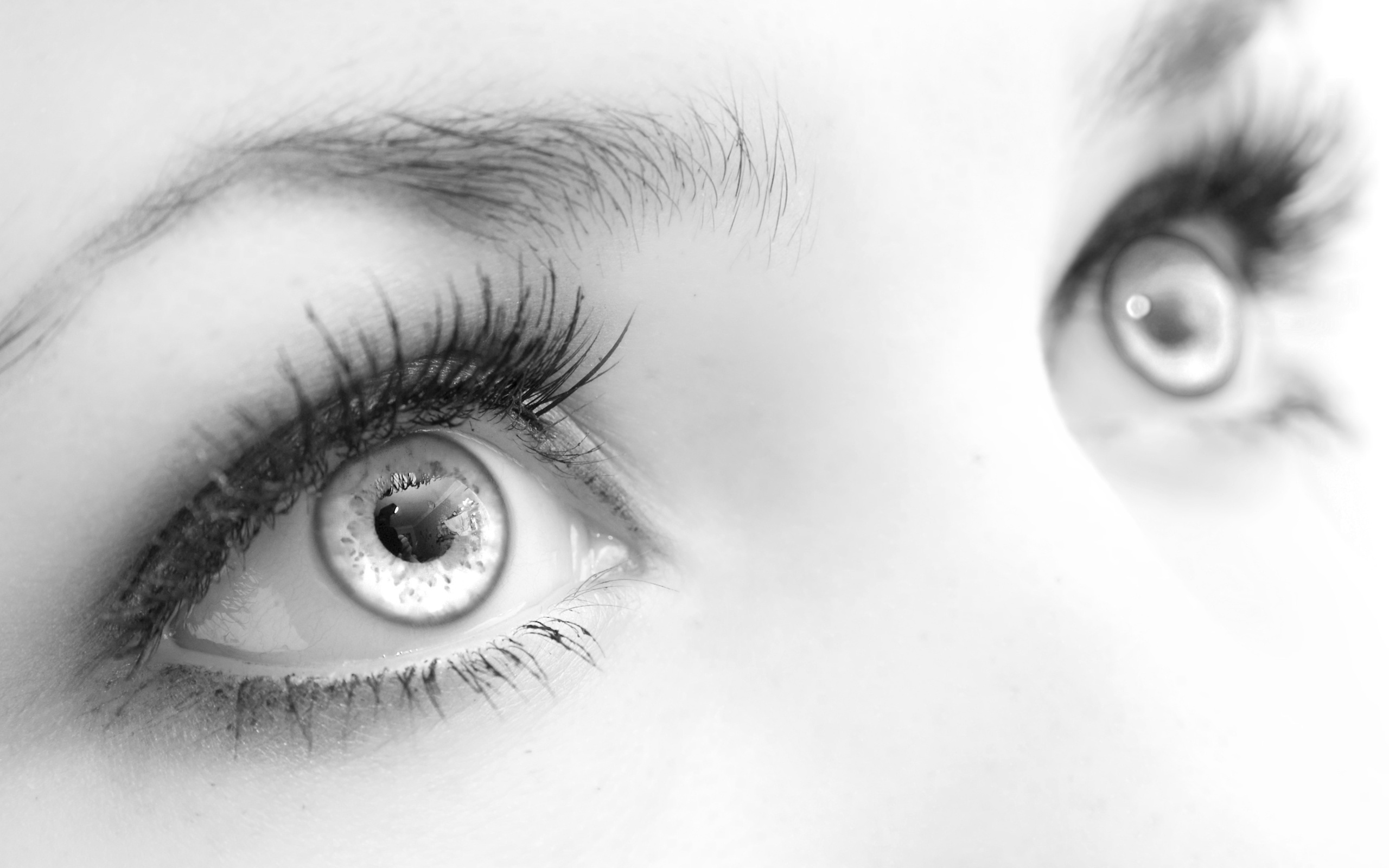 Women Eye HD Wallpaper | Background Image