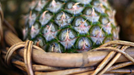 Close-up HD PC desktop wallpaper of a pineapple nestled in a woven basket, highlighting the fruit's textured skin and natural green and brown tones.