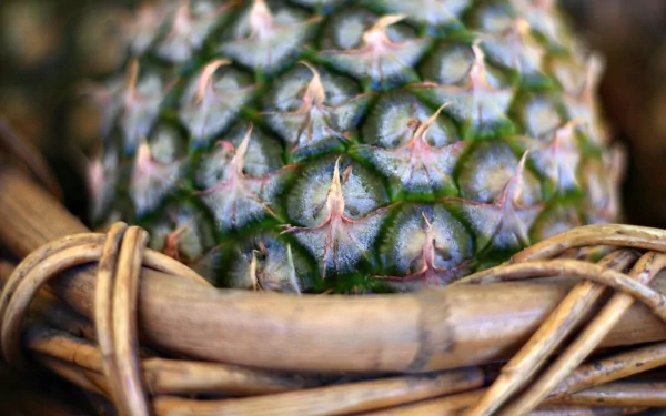 food pineapple HD Desktop Wallpaper | Background Image