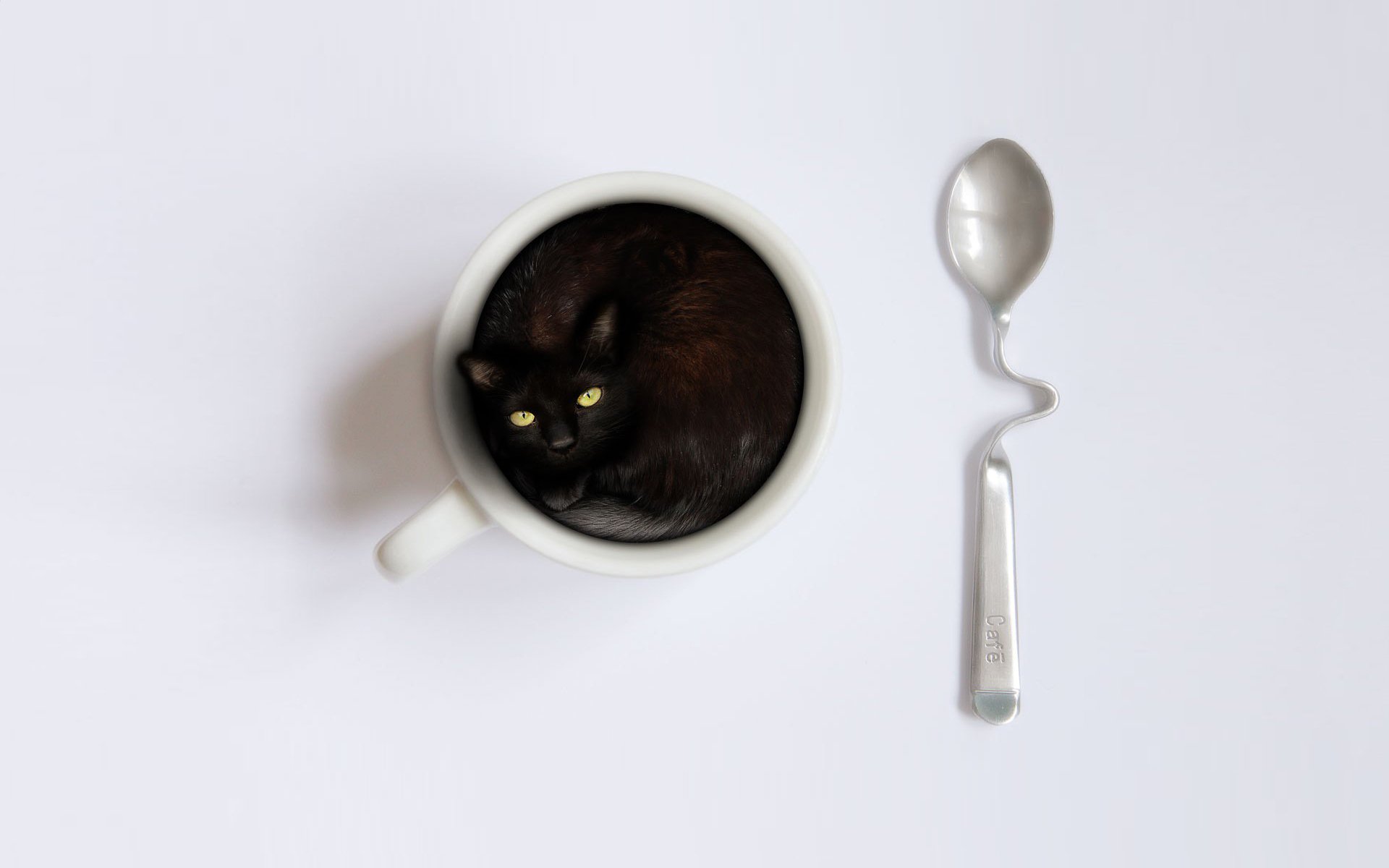 Artistic HD desktop wallpaper featuring a black cat curled inside a white cup beside a silver spoon on a minimalist white background.