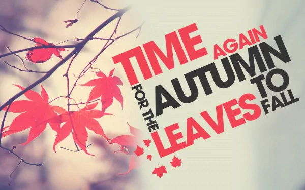 HD desktop wallpaper featuring vibrant red autumn leaves on delicate branches with bold text highlighting the fall season through photography.
