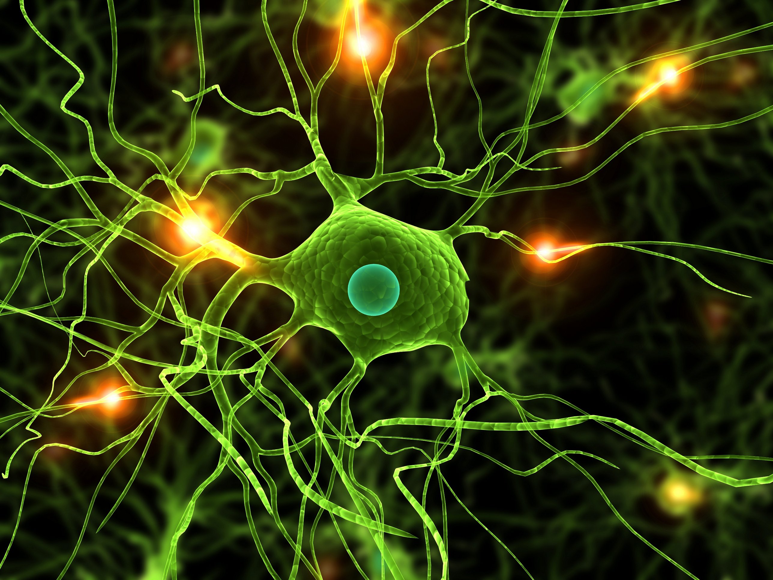 human-neuron-synapse-wallpaper - Brain Train Coach