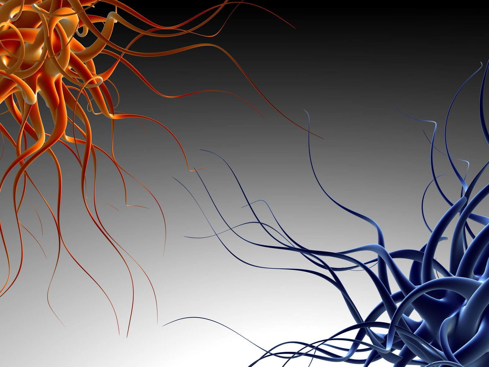 HD desktop wallpaper featuring abstract, colorful blown glass shapes by Chihuly, showcasing intricate textures and patterns in cool hues against a gradient background.