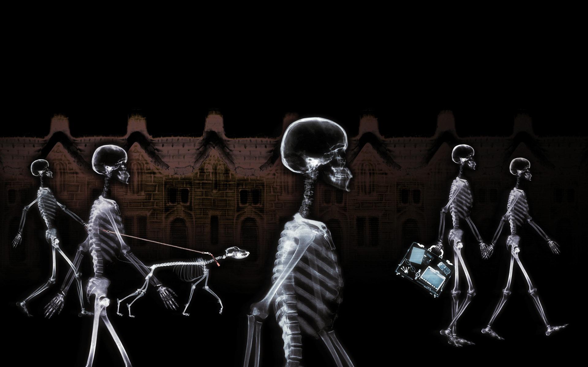Skeleton HD Wallpaper by Naomi Voxeed
