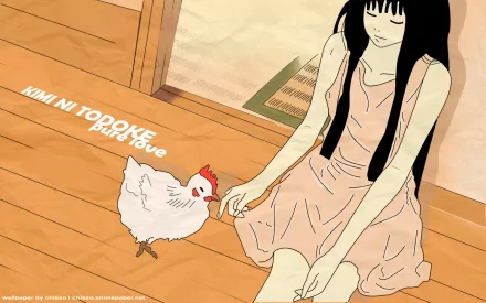 HD desktop wallpaper featuring Kuronuma Sawako from the anime Kimi Ni Todoke, sitting on the floor reaching out to a white chicken indoors.