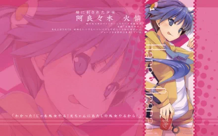 Karen Araragi Anime Monogatari (Series) HD Desktop Wallpaper | Background Image