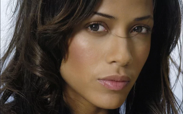 Close-up HD PC desktop wallpaper of celebrity Dania Ramirez with soft makeup and wavy dark hair against a light background.