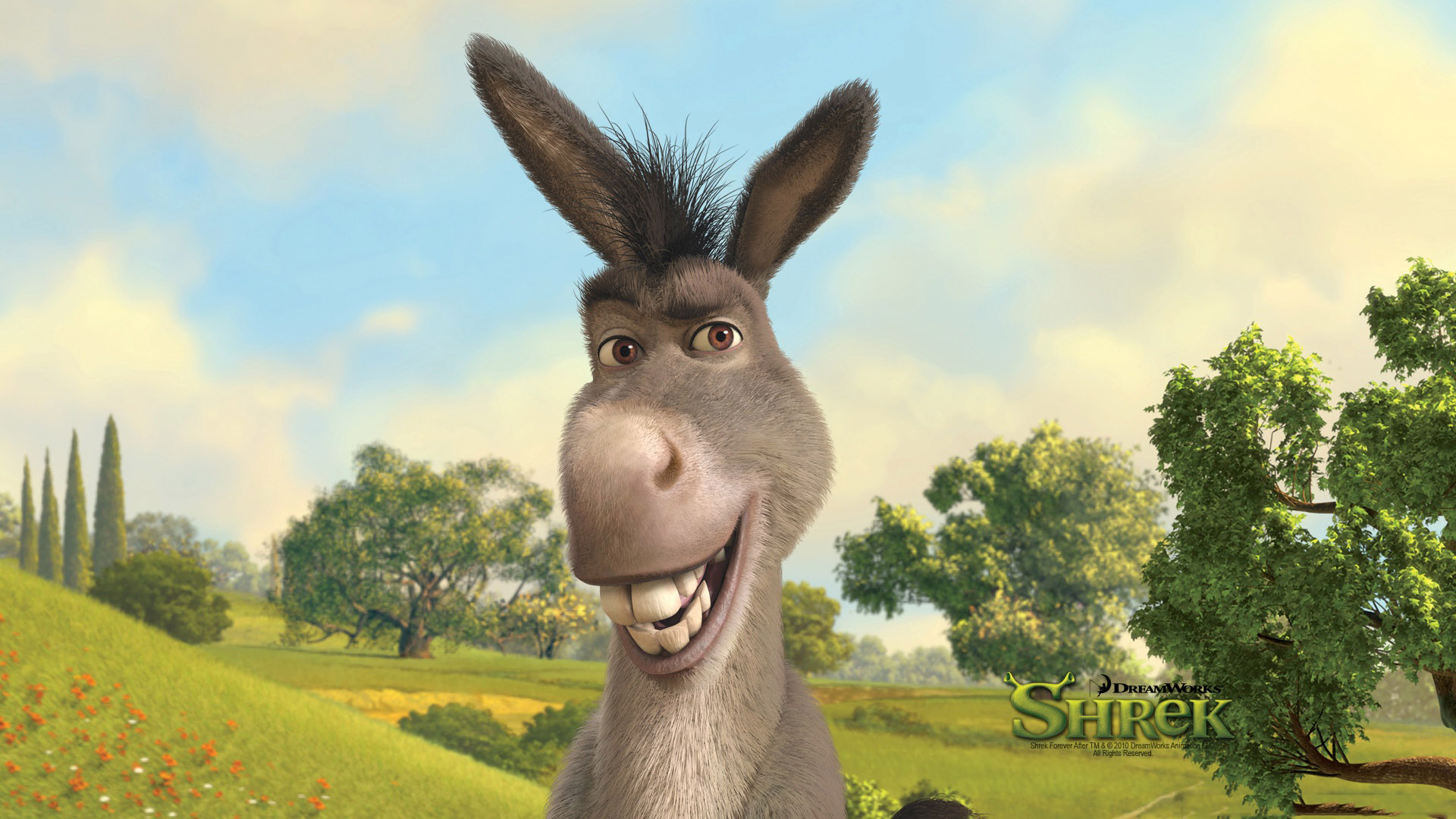 shrek donkey wallpaper