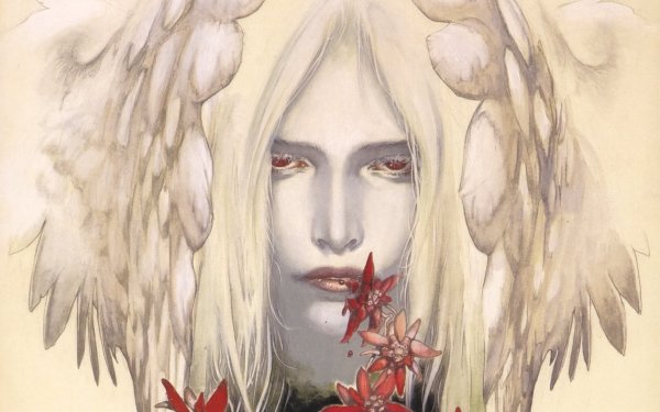 Dark Angel HD Wallpaper | Background Image