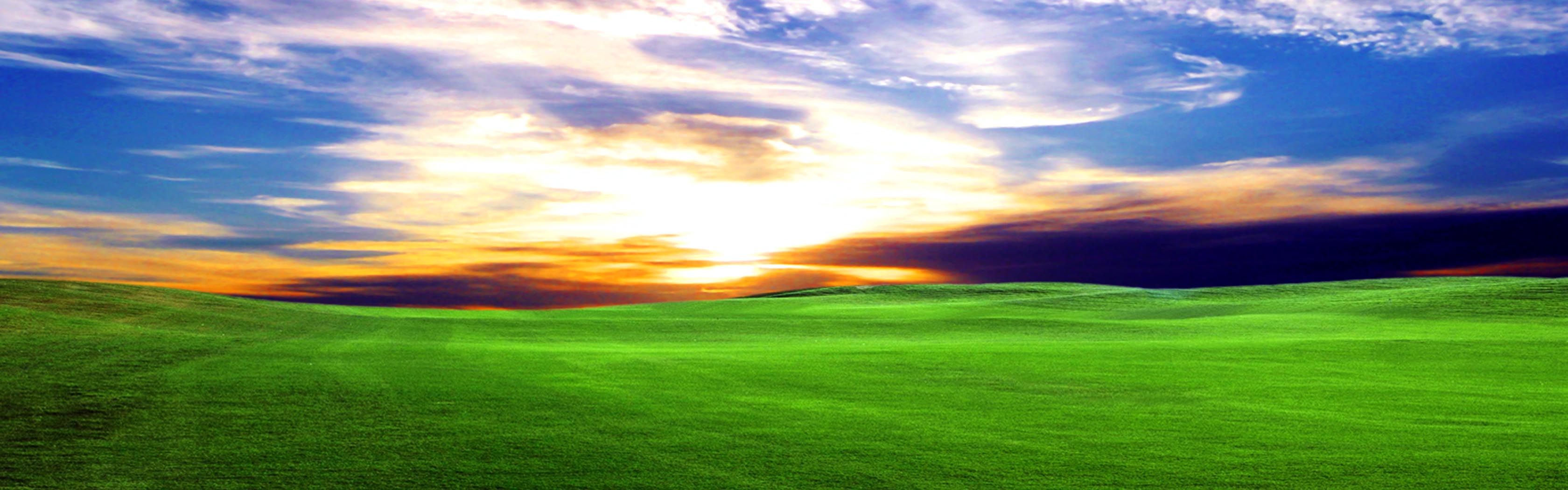Vibrant sunrise over a field of green grass