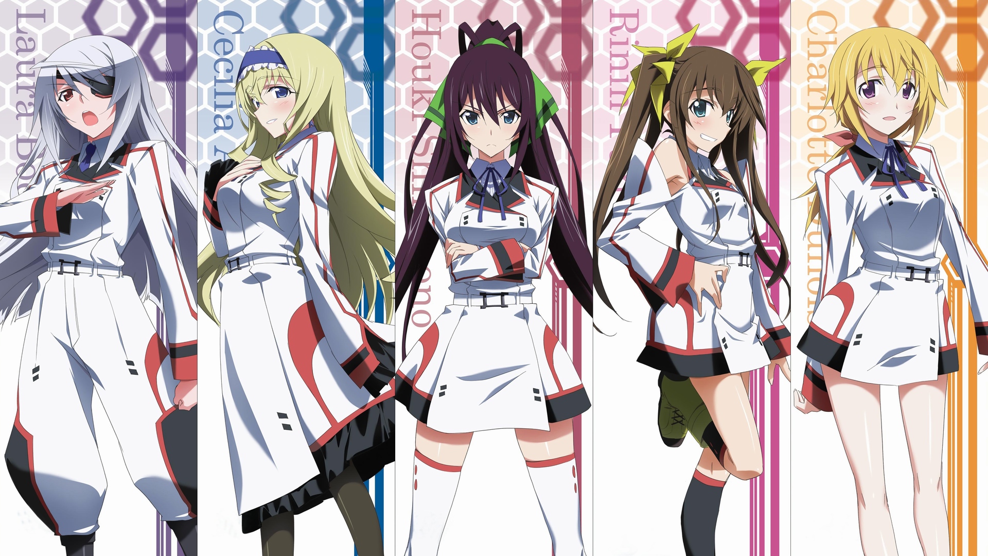 Infinite Stratos Season 1 Episode 10 Favorites  Crows World of Anime