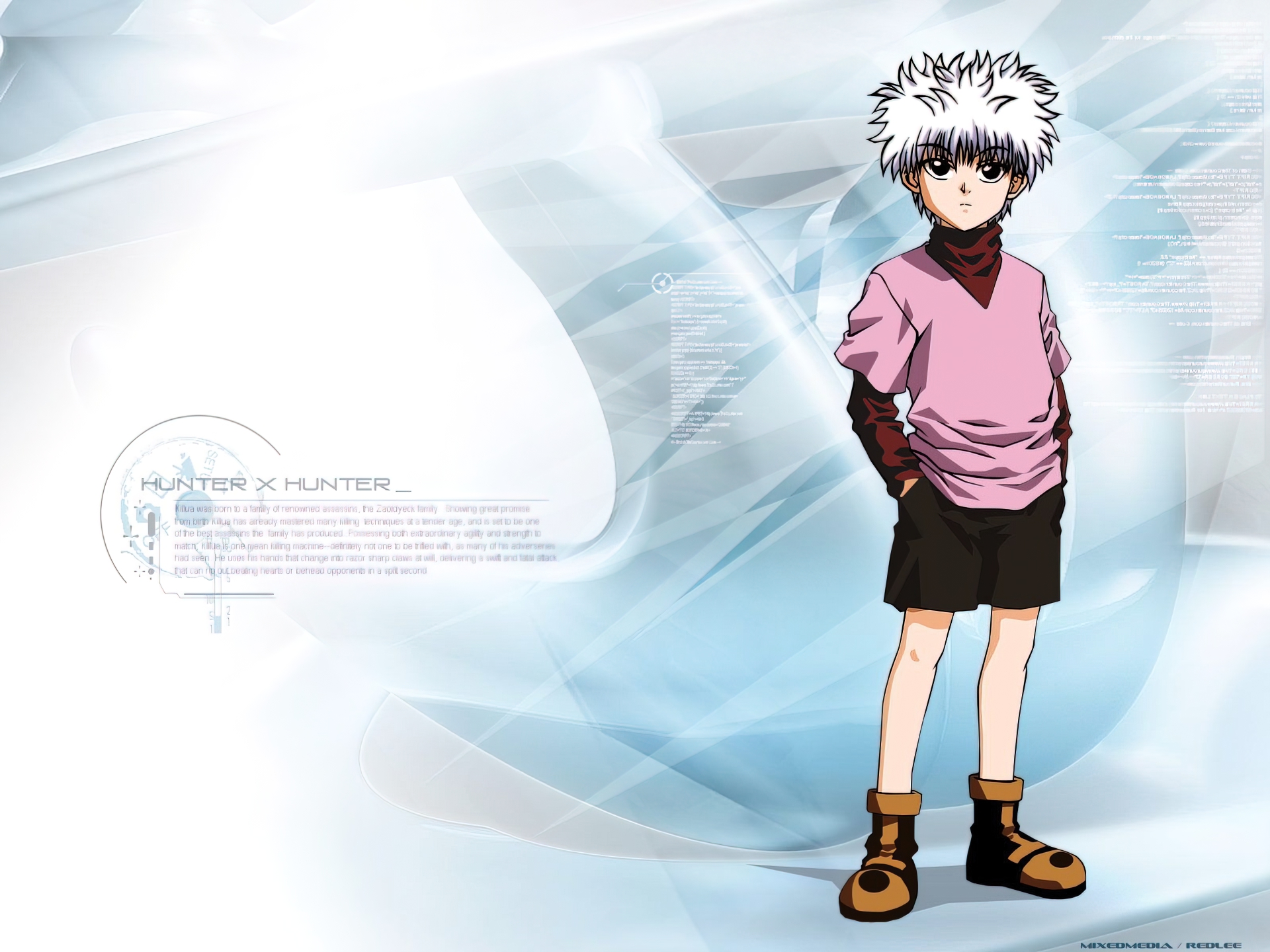 Anime Hunter x Hunter HD Wallpaper | Background Image