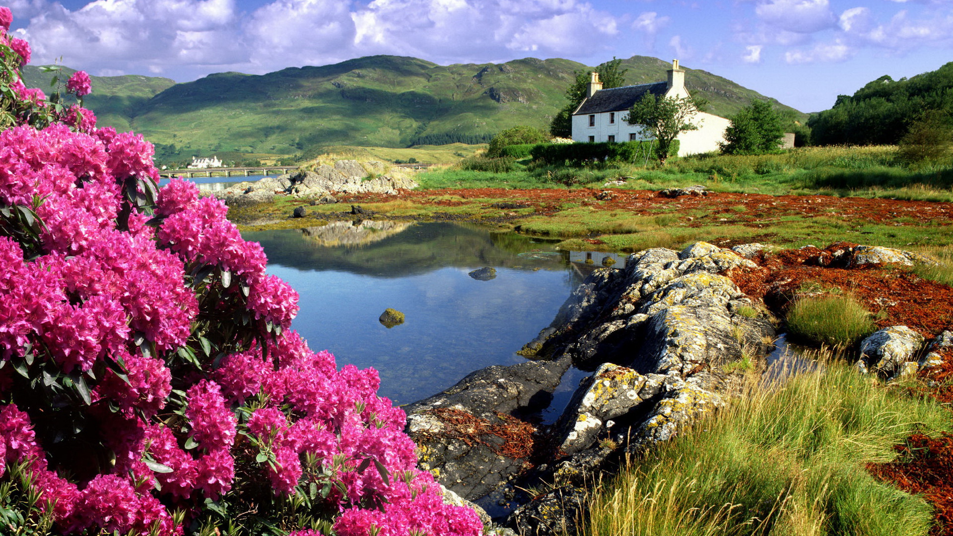Download Man Made House Hd Wallpaper