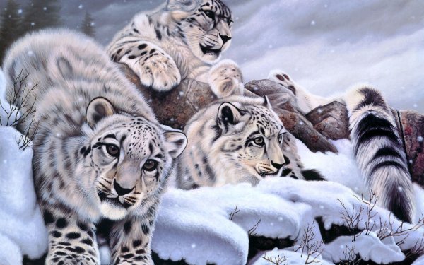 Animal Artistic HD Wallpaper | Background Image