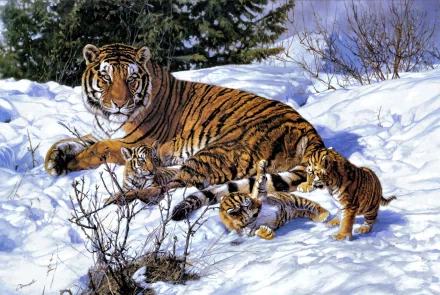A stunning HD painting of a tiger and its playful cubs amidst a snowy winter landscape, capturing the beauty and warmth of these magnificent animals.