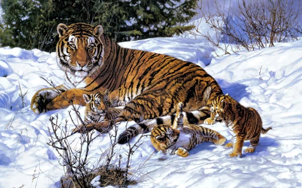 A stunning HD painting of a tiger and its playful cubs amidst a snowy winter landscape, capturing the beauty and warmth of these magnificent animals.