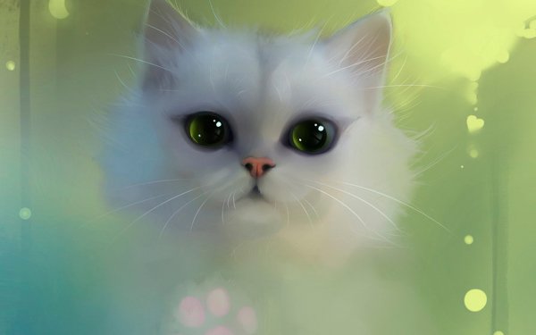 Animal Artistic Cat Kitten White Green Eyes HD Wallpaper | Background Image