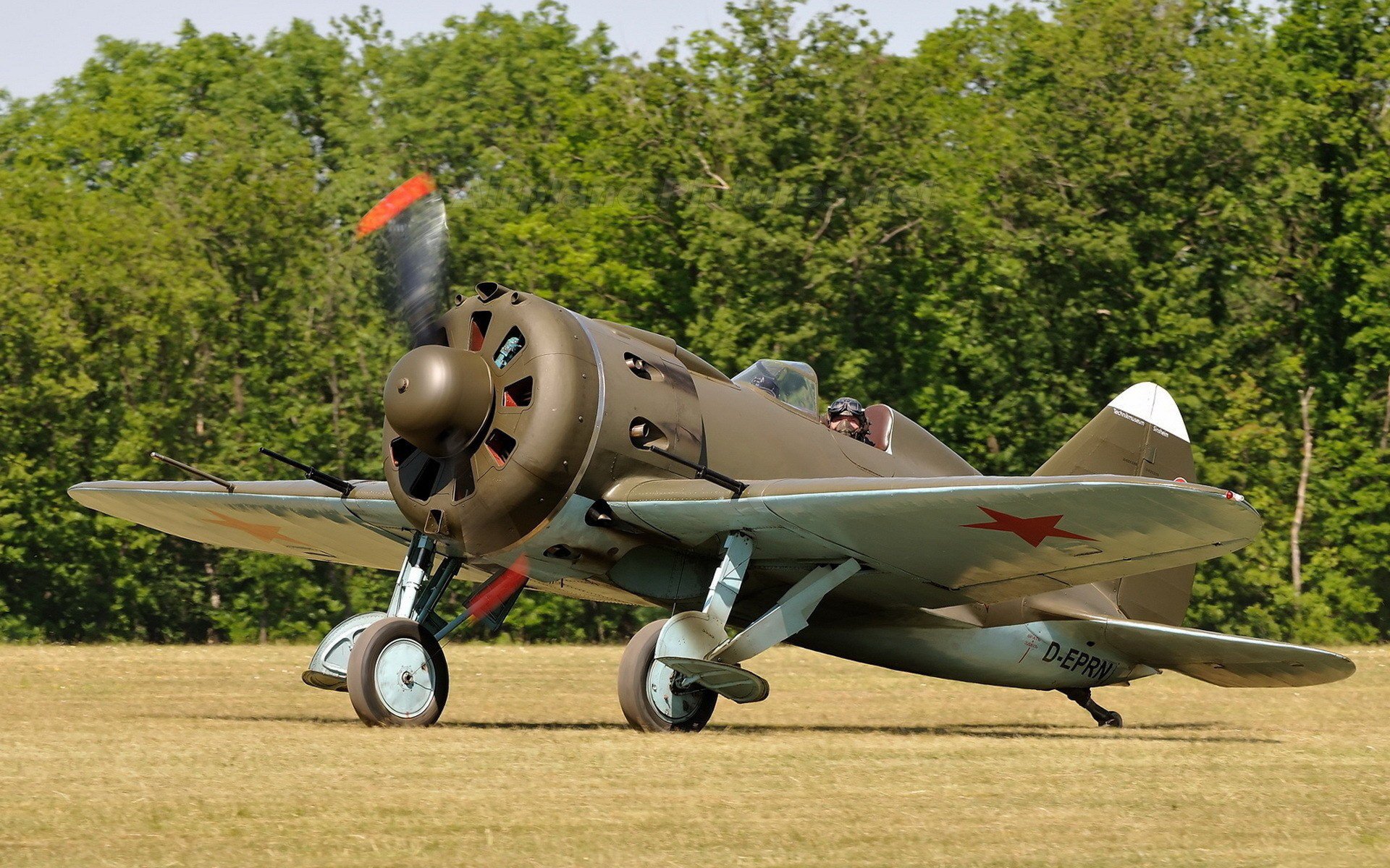 HD desktop wallpaper featuring a Polikarpov I-16 military aircraft on a grassy field with trees in the background.