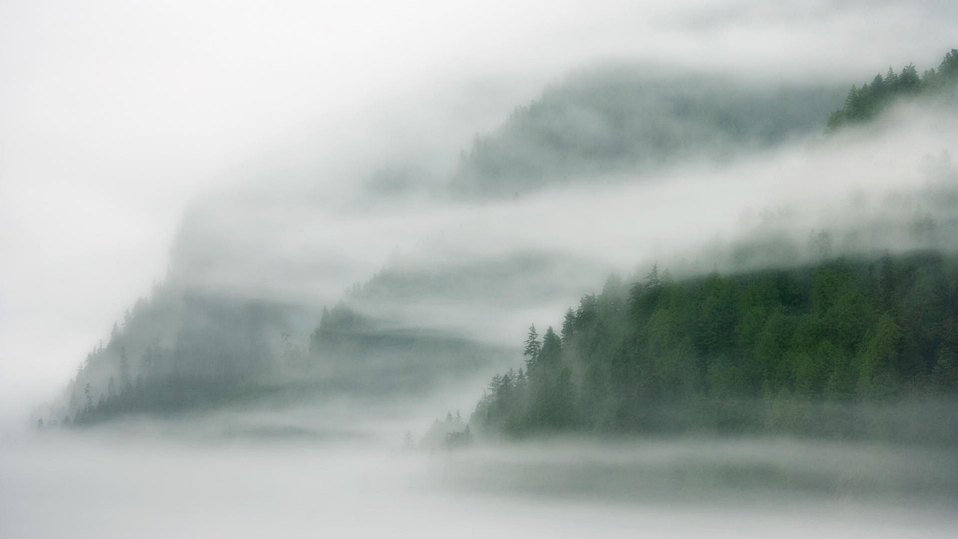 Fog HD Wallpaper