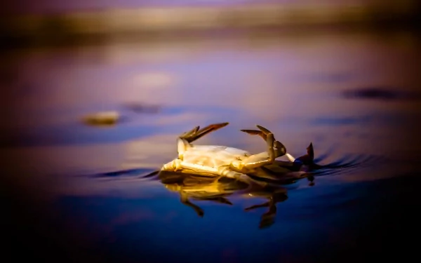  Death... Always a part of life.