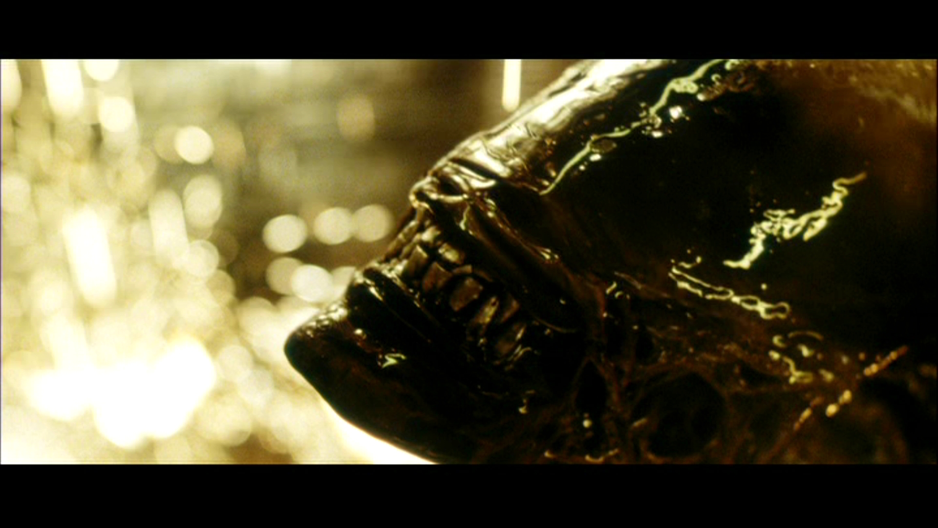 Movie Alien: Resurrection HD Wallpaper | Background Image