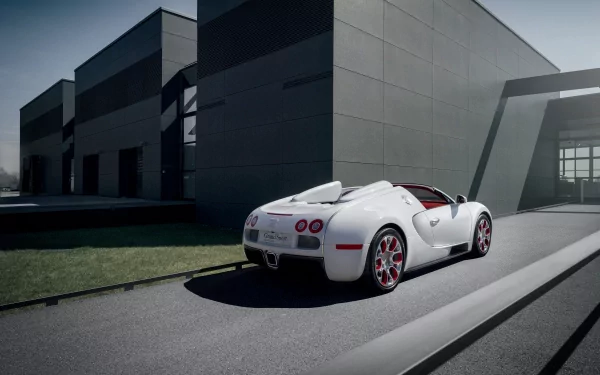  Bugatti Veyron Wei Long