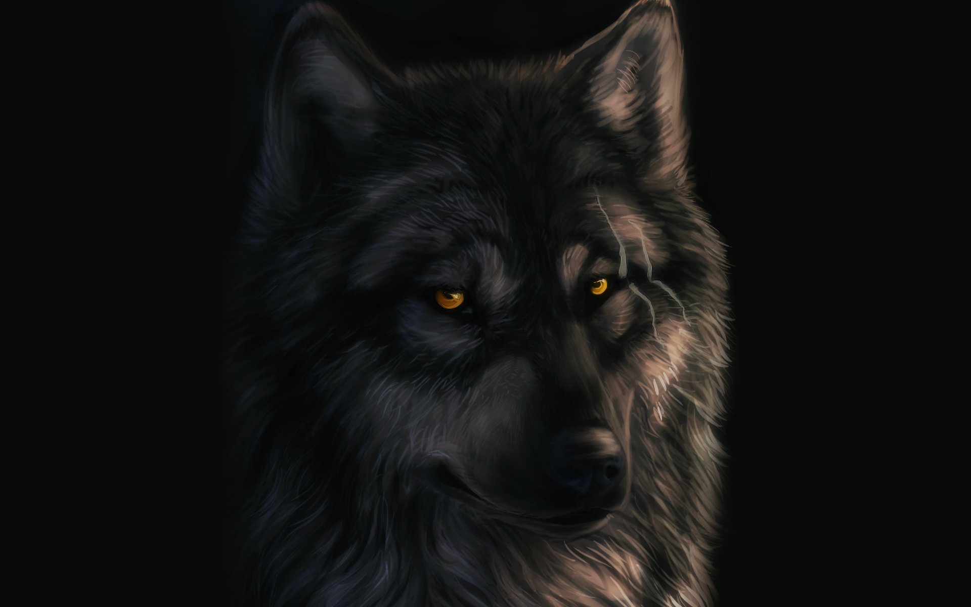 http://dark-sheyn.deviantart.com/art/Wolf-189664084 Full HD Wallpaper