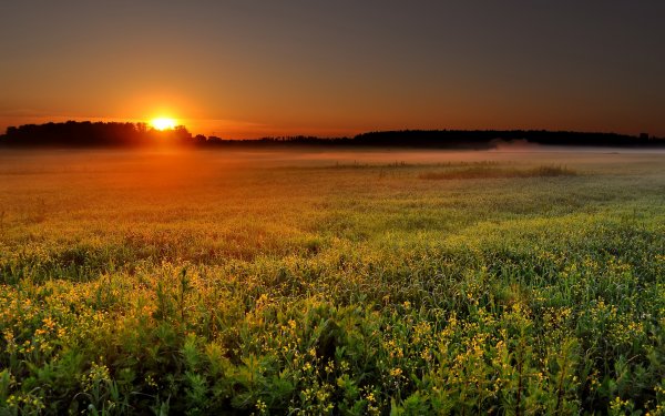 Tierra/Naturaleza Amanecer Paisaje Campo Sol Niebla Fondo de pantalla HD | Fondo de Escritorio