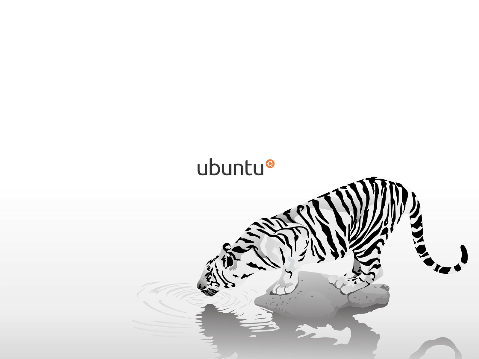 Minimalist HD PC desktop wallpaper featuring a white and black striped tiger drinking water, with the Ubuntu logo above, symbolizing technology and the Ubuntu OS.