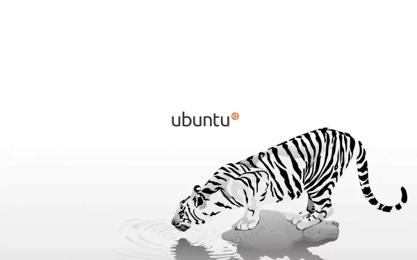 Minimalist HD PC desktop wallpaper featuring a white and black striped tiger drinking water, with the Ubuntu logo above, symbolizing technology and the Ubuntu OS.