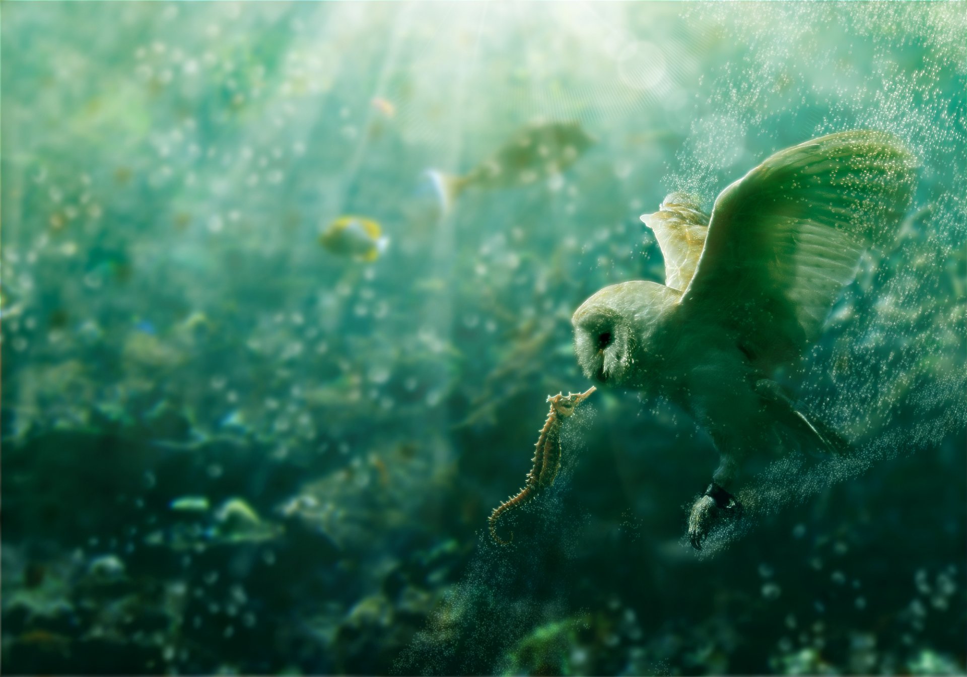 An underwater scene featuring an owl gracefully gliding through sparkling water, holding a seahorse in its beak, surrounded by vibrant marine life. High-definition wallpaper backdrop.