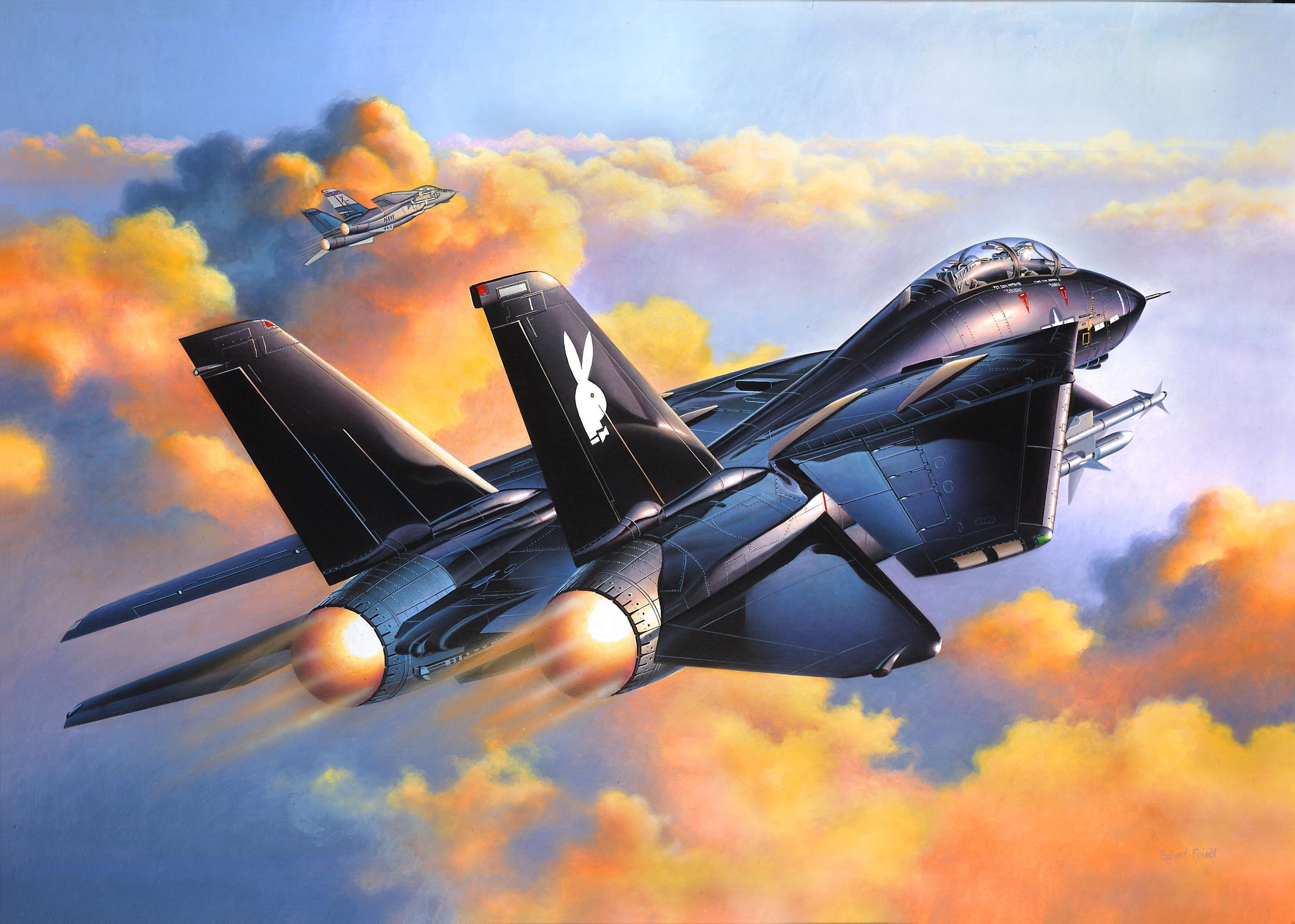 Military Grumman F-14 Tomcat HD Wallpaper | Background Image