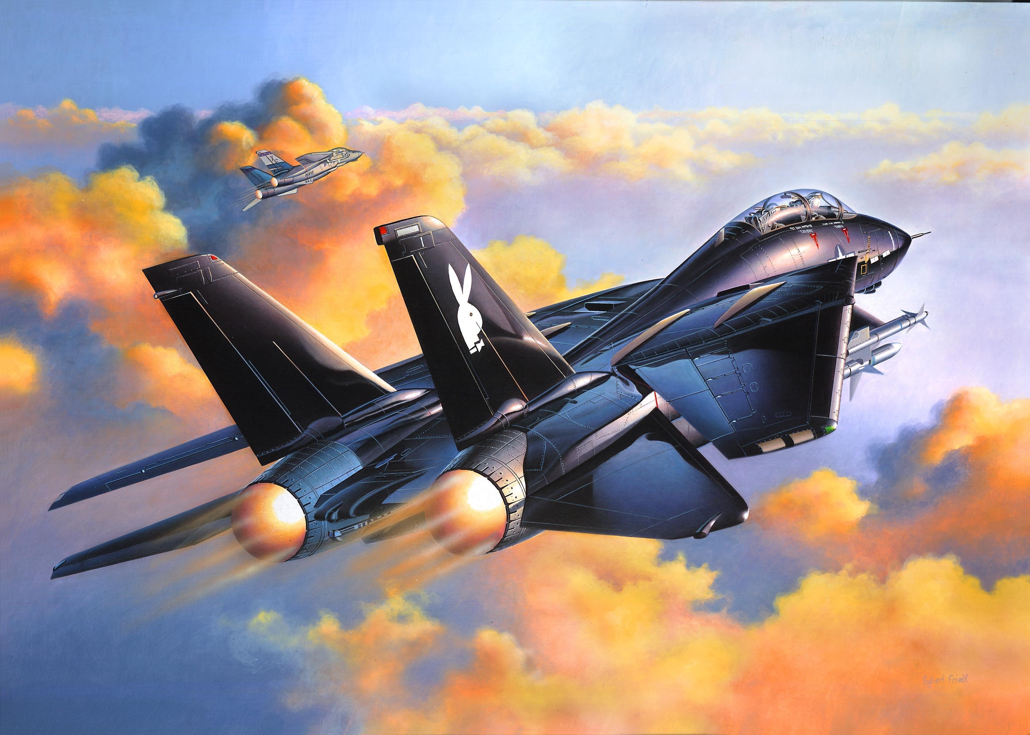 Revell 1/48 Grumman F-14A Black Tomcat Model Kit HD Wallpaper