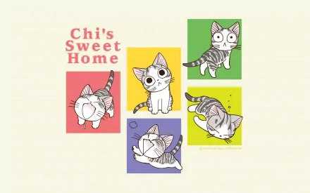 Anime HD PC desktop wallpaper featuring Chi from Chi's Sweet Home in five colorful panels, playful kitten poses on a cream background with Chi's Sweet Home text.