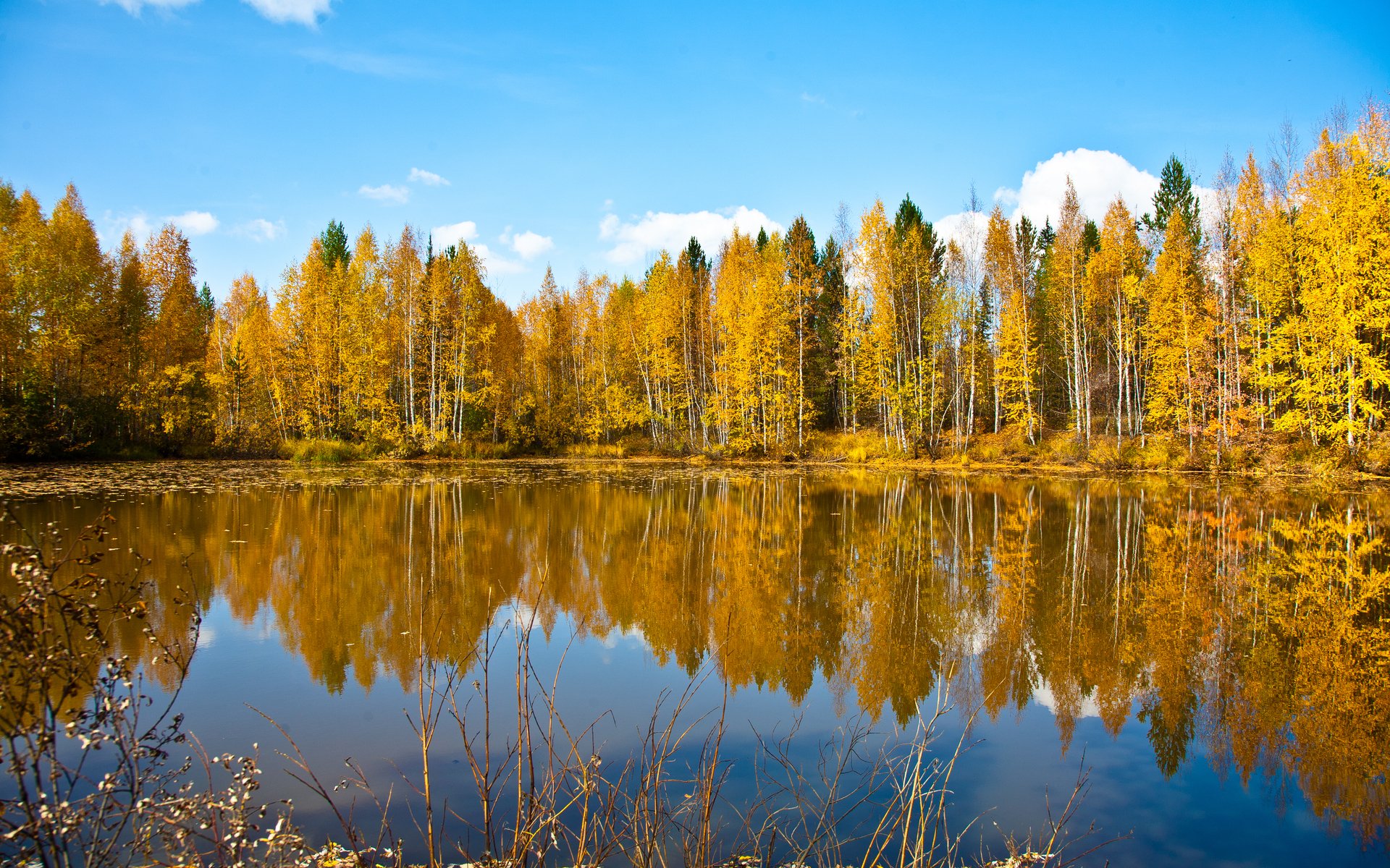 Download Lake Pond Reflection Nature Fall HD Wallpaper