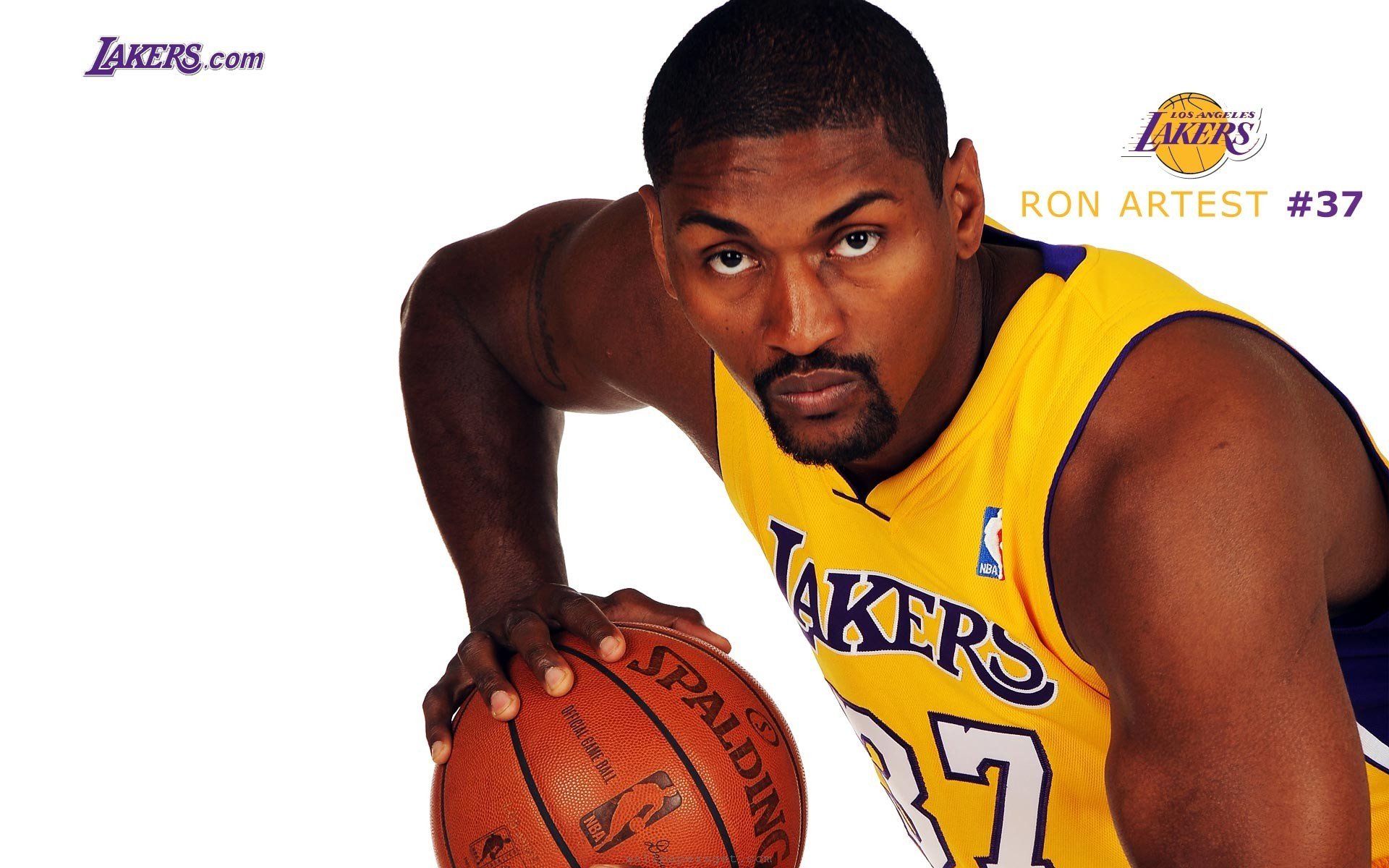 Ron Artest Wallpapers