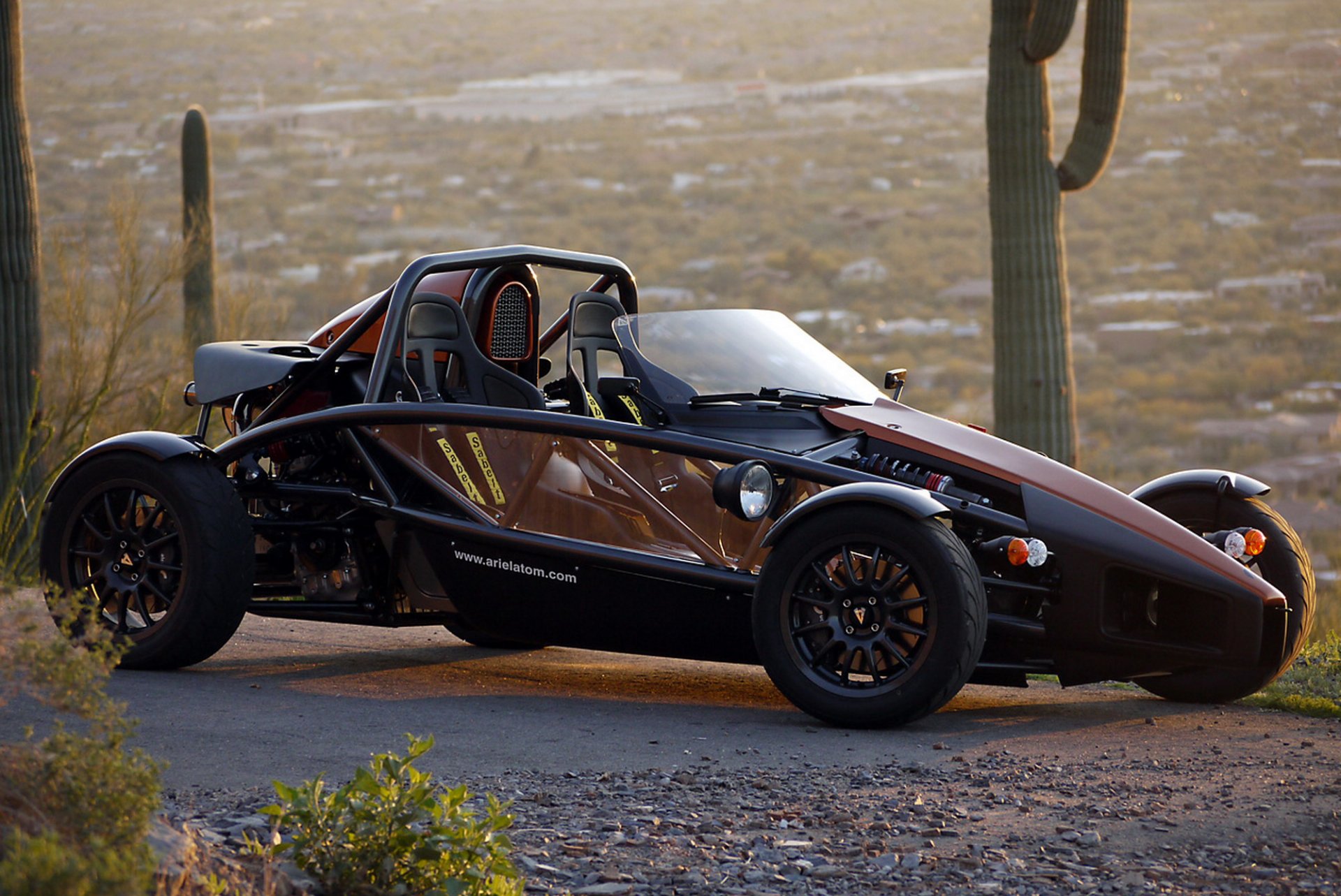HD desktop wallpaper featuring a sleek Ariel Atom vehicle parked on a desert road with cacti and a rocky landscape in the background.