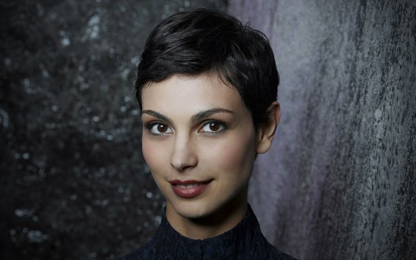 Celebrity Morena Baccarin Actresses Brazil HD Wallpaper | Background Image