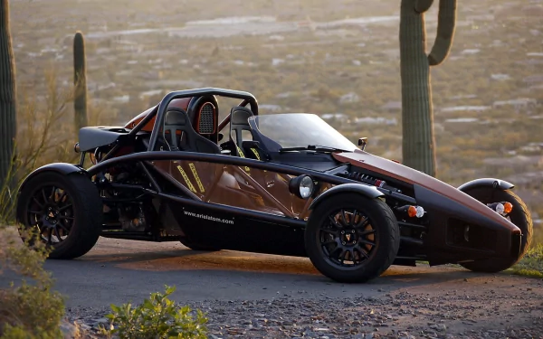 HD desktop wallpaper featuring a sleek Ariel Atom vehicle parked on a desert road with cacti and a rocky landscape in the background.