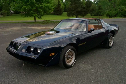HD desktop wallpaper featuring a black Pontiac Trans Am, captured outdoors with greenery in the background. The classic vehicle is parked on a paved area, showcasing its sleek design and polished finish.