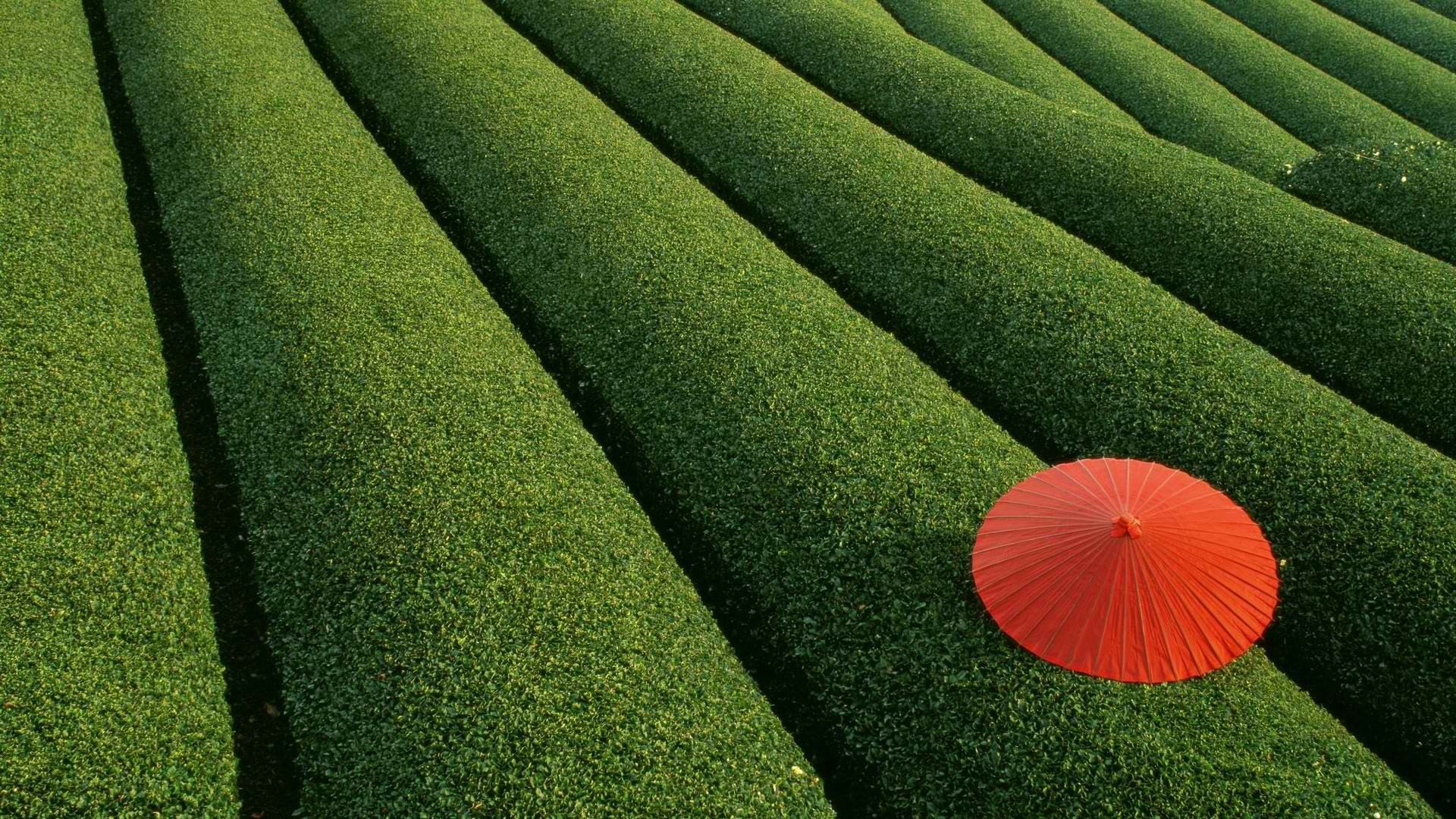 1920x1080 Photography Scenic Wallpaper Background Image. 