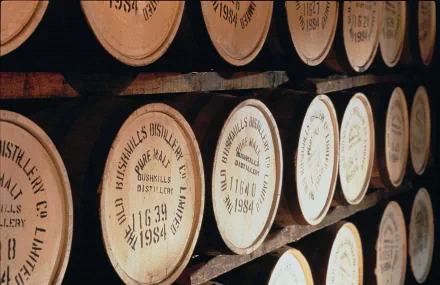 HD desktop wallpaper showing rows of whisky barrels stacked in a dimly lit storage room, highlighting rich wood textures and vintage distillery markings.