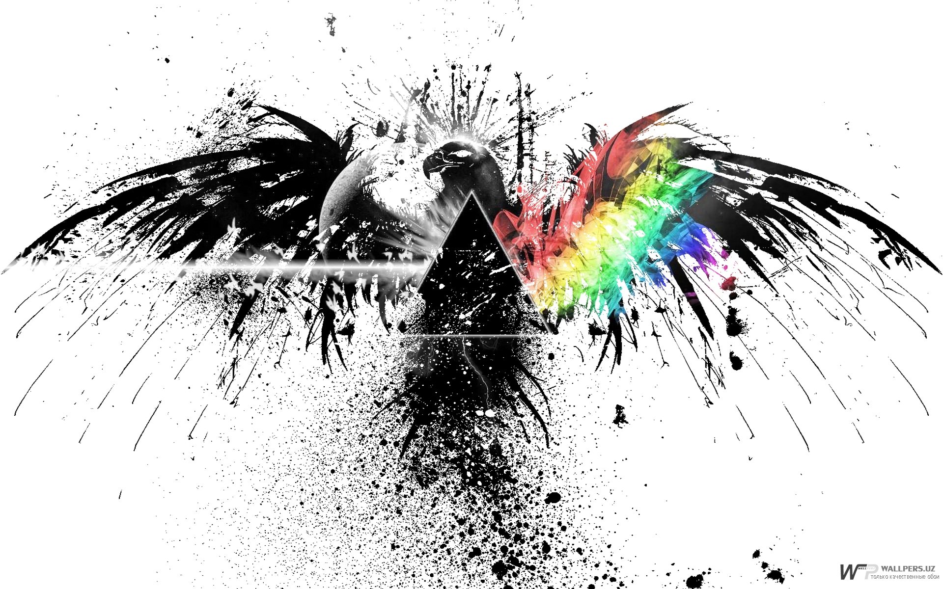 Artistic HD PC desktop wallpaper featuring a black crow with outstretched wings, splattered ink effects, and a vibrant rainbow prism beam across its form.